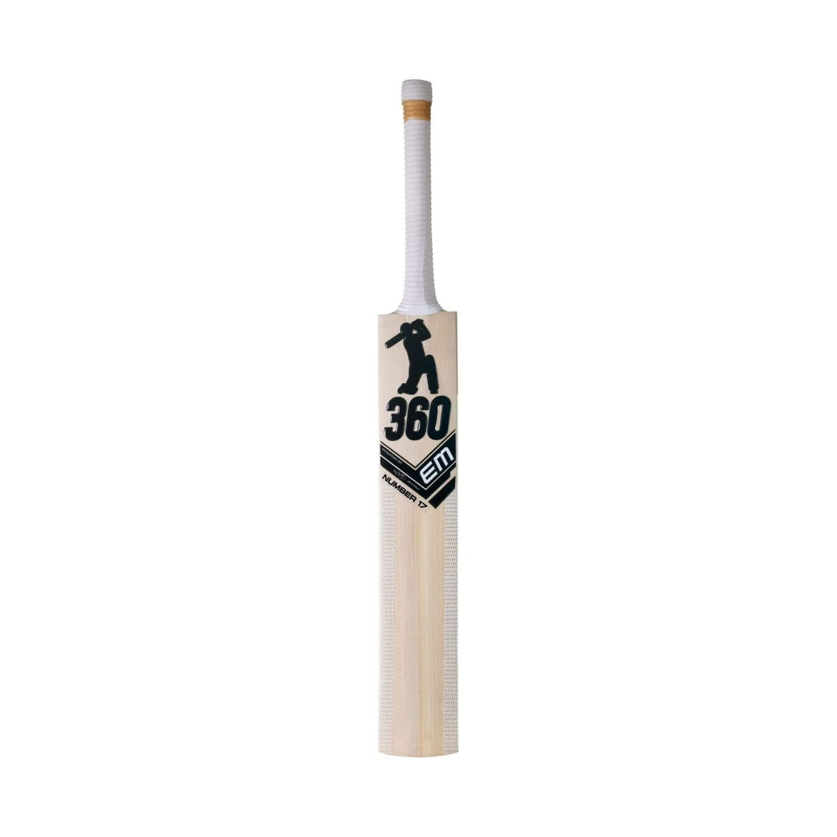 EM 360 Number 17 Kashmir Willow
