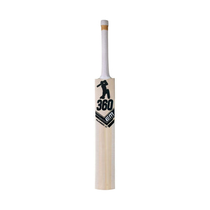 EM 360 Number 17 Kashmir Willow