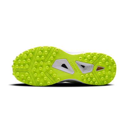 TerraField Cricket Shoes