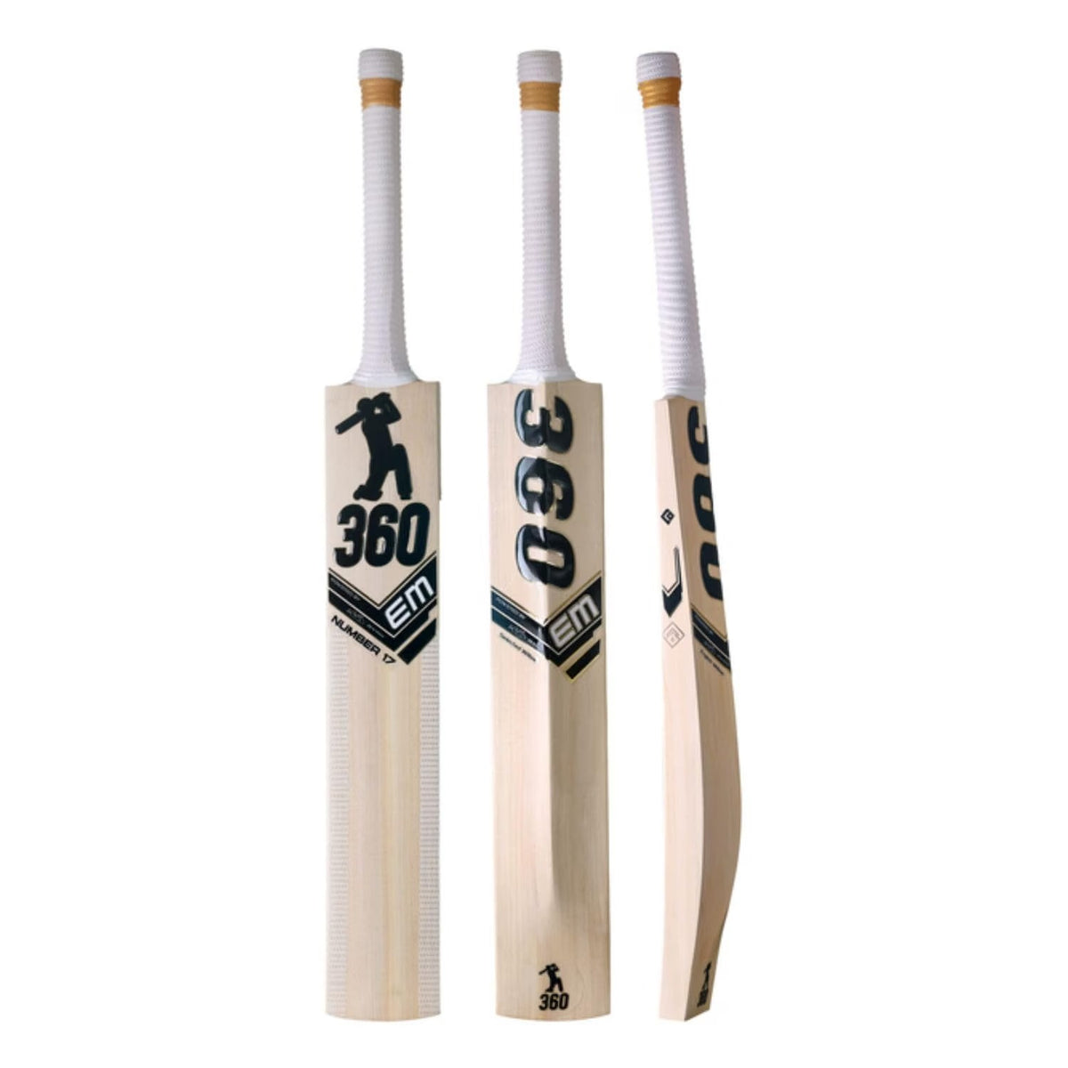 EM 360 Number 17 Kashmir Willow