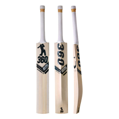 EM 360 Number 17 Kashmir Willow