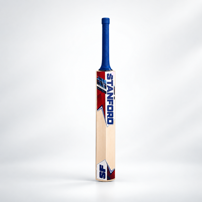VA-900 Kashmir Willow Complete Cricket Kit