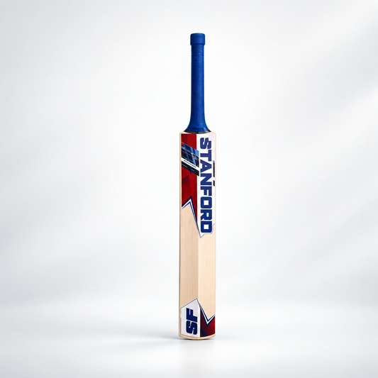 VA-900 Kashmir Willow Complete Cricket Kit