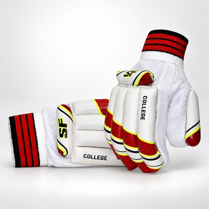VA-900 Kashmir Willow Complete Cricket Kit